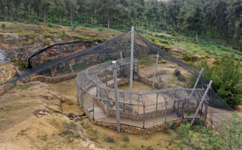 Forêt de Bouskoura-Merchich