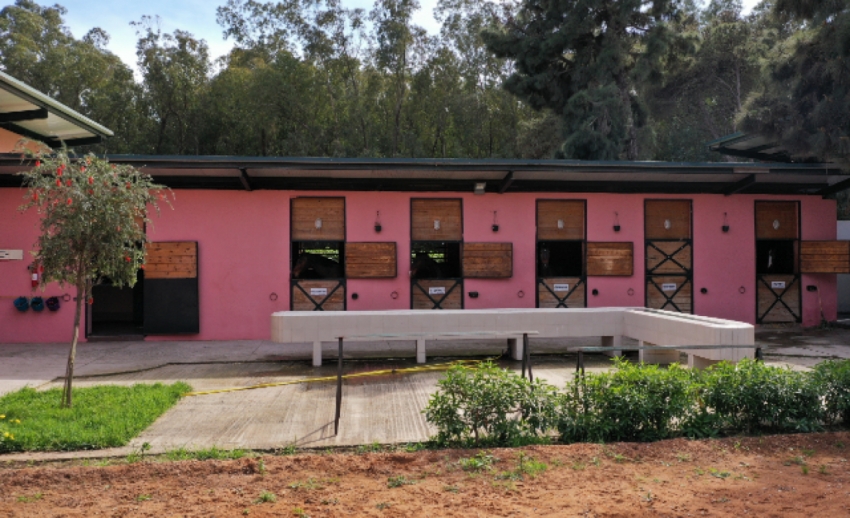 Forêt de Bouskoura-Merchich